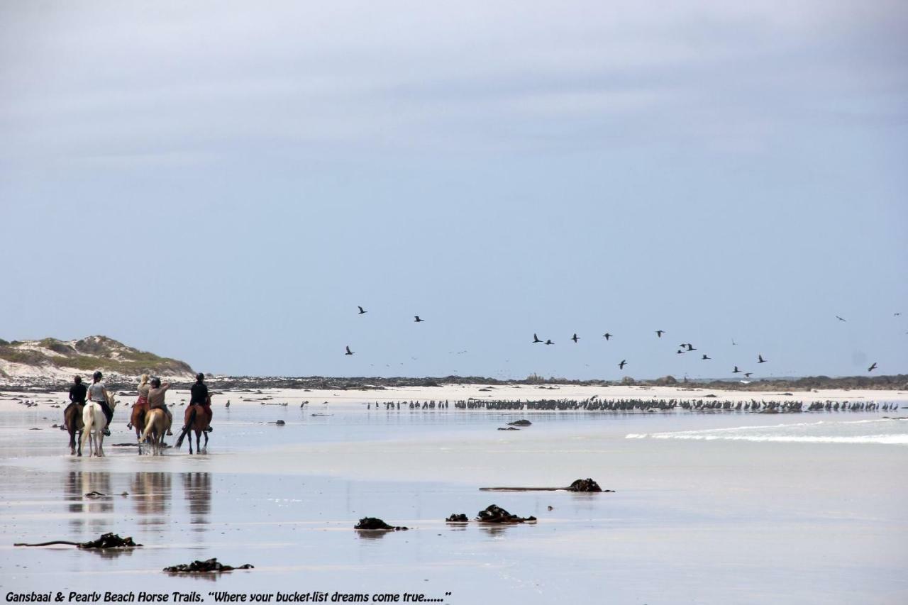 Ons C-Huis - Gansbaai Seafront Accommodation, Back-Up Power المظهر الخارجي الصورة