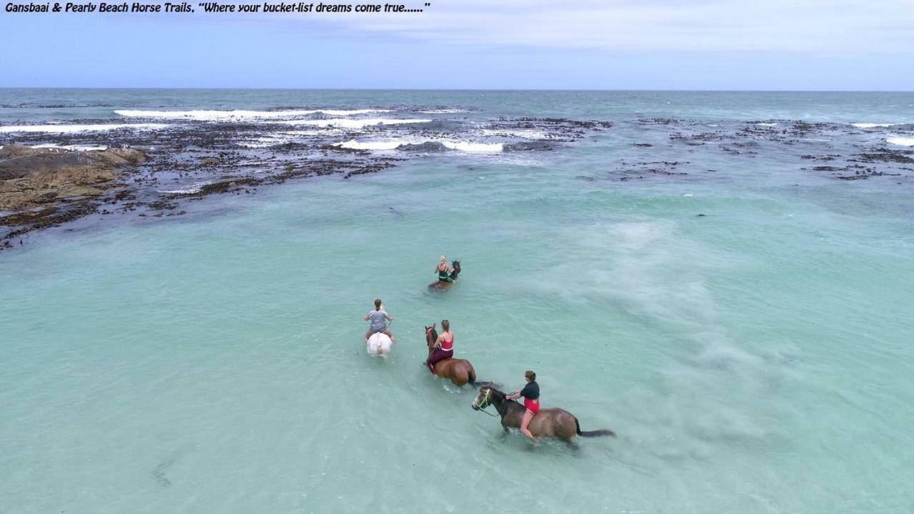 Ons C-Huis - Gansbaai Seafront Accommodation, Back-Up Power المظهر الخارجي الصورة