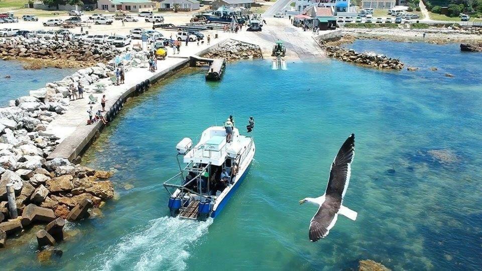 Ons C-Huis - Gansbaai Seafront Accommodation, Back-Up Power المظهر الخارجي الصورة